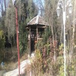 Kirayə (aylıq) Obyekt, Zığ qəs., Suraxanı rayonu 21
