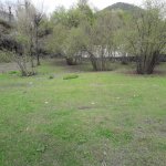 Satılır Torpaq Zaqatala 5