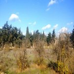 Satılır Torpaq, Mərdəkan, Xəzər rayonu 2