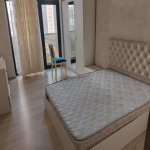 Kirayə (aylıq) 1 otaqlı Yeni Tikili, 28 May metrosu, Nəsimi rayonu 9
