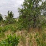 Satılır Torpaq Sumqayıt 11