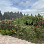 Kirayə (aylıq) 3 otaqlı Bağ evi, Nardaran qəs., Sabunçu rayonu 11