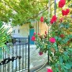 Satılır 6 otaqlı Bağ evi, Novxanı, Abşeron rayonu 18