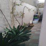 Продажа 3 комнатная Дома/Виллы, Масазыр, Абшерон район 4
