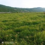 Satılır Torpaq Ağsu 2