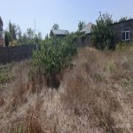 Продажа Участок, Фатмаи, Абшерон район 10