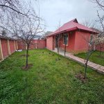 Kirayə (günlük) 3 otaqlı Həyət evi/villa Qəbələ 4