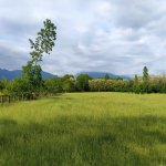 Продажа Участок Гябяля 5