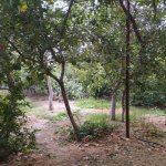 Satılır 3 otaqlı Həyət evi/villa, Masazır, Abşeron rayonu 8