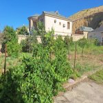 Satılır Torpaq, Novxanı, Abşeron rayonu 15