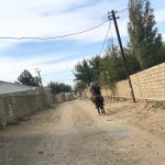Satılır Torpaq, Novxanı, Abşeron rayonu 5