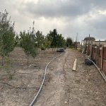 Satılır Torpaq Şamaxı 15