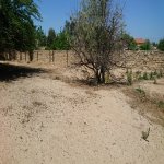 Satılır Torpaq, Goradil, Abşeron rayonu 7