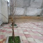 Satılır 6 otaqlı Həyət evi/villa, Yeni Günəşli qəs., Suraxanı rayonu 3