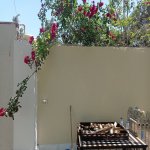 Satılır 5 otaqlı Həyət evi/villa, Türkan, Xəzər rayonu 14