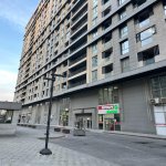 Аренда 2 комнатная Новостройка, м. Ази Асланова метро, Хетаи район 1