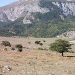 Satılır Torpaq Quba 3