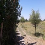 Satılır Torpaq Quba 7
