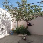 Kirayə (aylıq) 2 otaqlı Həyət evi/villa, Koroğlu metrosu, Zabrat qəs., Sabunçu rayonu 13