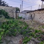 Satılır Torpaq, Novxanı, Abşeron rayonu 4