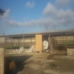 Продажа Объект, Новханы, Абшерон район 9