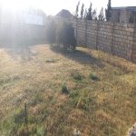 Satılır Torpaq, Novxanı, Abşeron rayonu 9