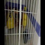 Satılır Obyekt, Neftçilər metrosu, Bakıxanov qəs., Sabunçu rayonu 3