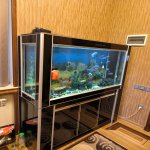 Satılır 6 otaqlı Həyət evi/villa, Əhmədli metrosu, Əhmədli, Xətai rayonu 23