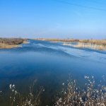 Продажа Участок Гаджигабул 5