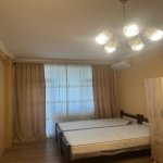Kirayə (aylıq) 1 otaqlı Yeni Tikili, Nəsimi metrosu, Nəsimi rayonu 5