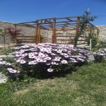 Satılır 4 otaqlı Həyət evi/villa, Mərdəkan, Xəzər rayonu 13