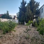 Satılır 8 otaqlı Bağ evi, Novxanı, Abşeron rayonu 7