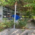 Satılır 3 otaqlı Həyət evi/villa İsmayıllı 4