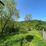 Kirayə (günlük) 4 otaqlı Həyət evi/villa Lerik 4