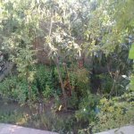 Satılır 3 otaqlı Həyət evi/villa, Zabrat qəs., Sabunçu rayonu 16