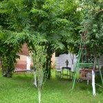Kirayə (günlük) 3 otaqlı Həyət evi/villa Qəbələ 1