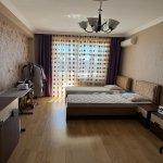 Kirayə (günlük) 3 otaqlı Yeni Tikili, Nəriman Nərimanov metrosu, Böyükşor qəs., AGA Business Center, Nərimanov rayonu 3