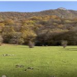 Satılır Torpaq Oğuz 8