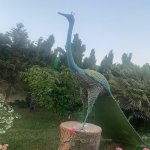 Продажа 9 комнат Дача, Новханы, Абшерон район 14