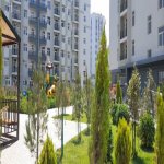 Kirayə (aylıq) 1 otaqlı Yeni Tikili, Yasamal rayonu 1