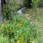 Kirayə (günlük) 3 otaqlı Həyət evi/villa İsmayıllı 10