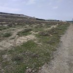 Satılır Torpaq, Goradil, Abşeron rayonu 13