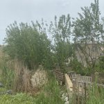 Продажа Участок, пос. Локбатан, 28 Малл, Гарадаг район 17