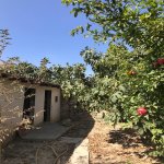 Satılır 4 otaqlı Həyət evi/villa, Suraxanı rayonu 22
