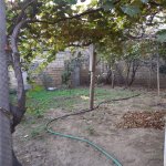 Satılır 4 otaqlı Həyət evi/villa, Saray, Abşeron rayonu 11