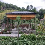 Kirayə (günlük) 3 otaqlı Həyət evi/villa İsmayıllı 5