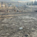 Satılır Torpaq, Novxanı, Abşeron rayonu 5