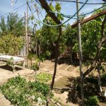 Satılır 4 otaqlı Həyət evi/villa, Binə qəs., Xəzər rayonu 9