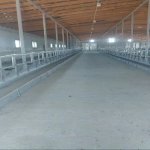 Satılır Torpaq Xaçmaz / Xudat 12