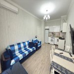 Продажа 2 комнатная Новостройка, пос. Йени Гюняшли, Сураханы район 8